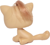 #0078 Sitting Cat